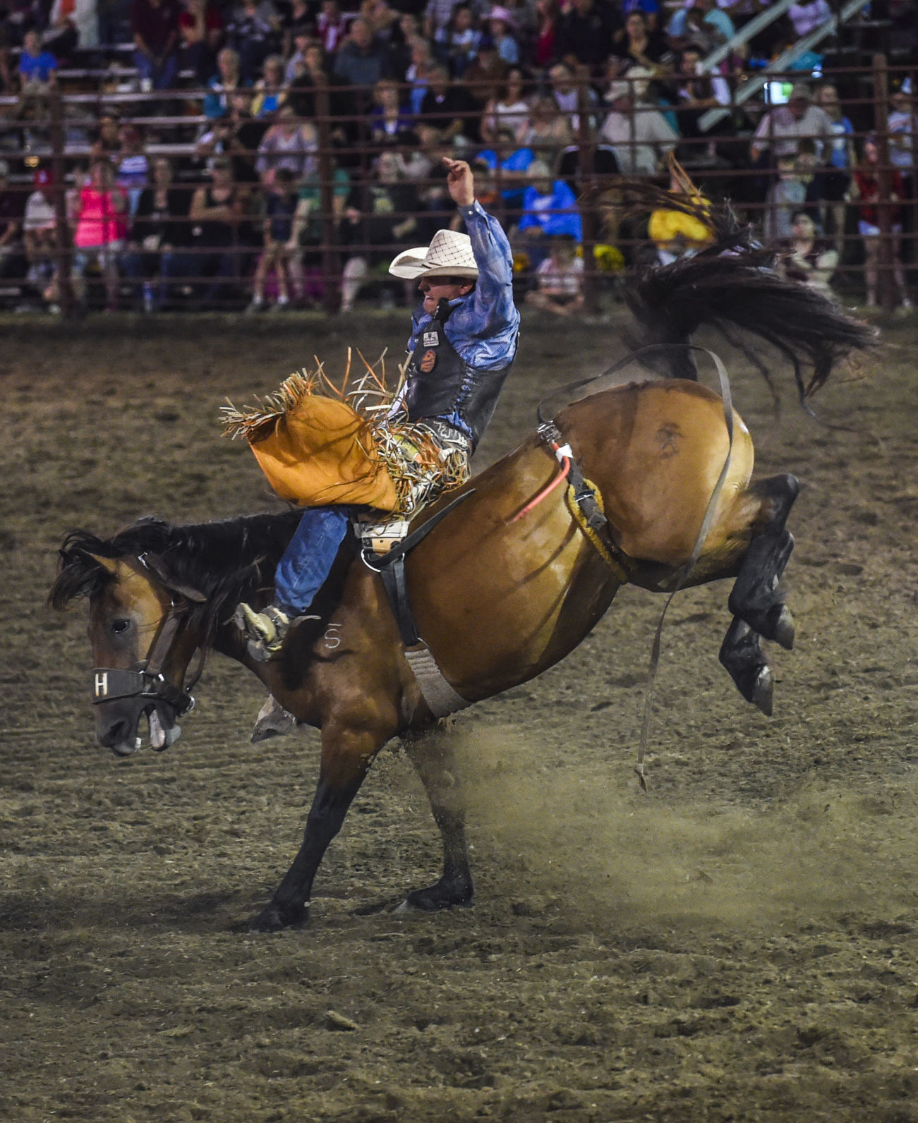 081619-mda-nws-rodeo-48.jpg